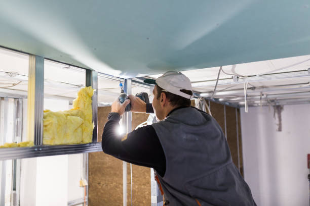 Best Insulation Materials and Products in Staples, CT