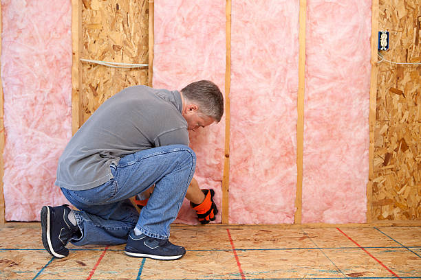 Best Insulation Maintenance and Repair in Staples, CT